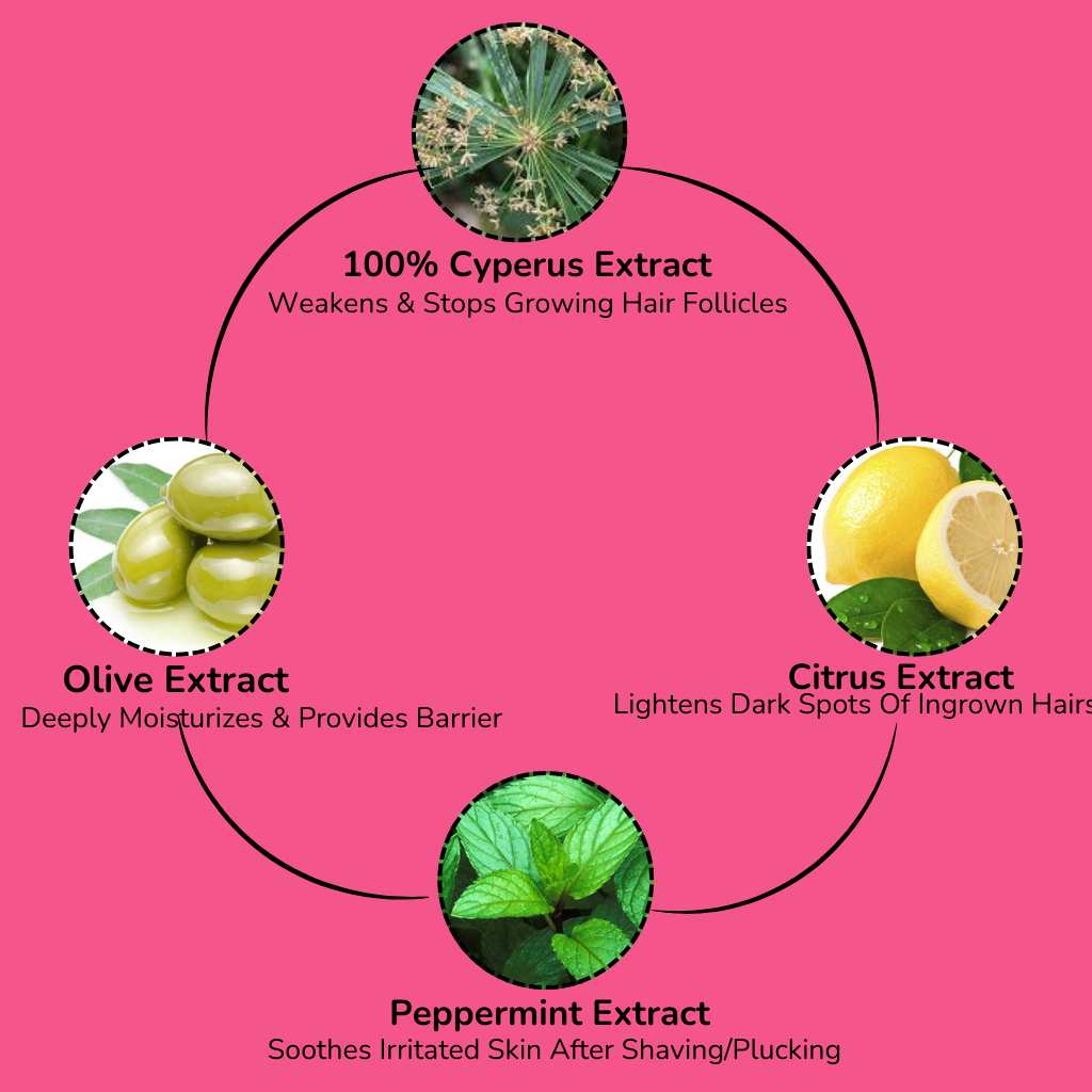 Basilmuse Cyperus Oil