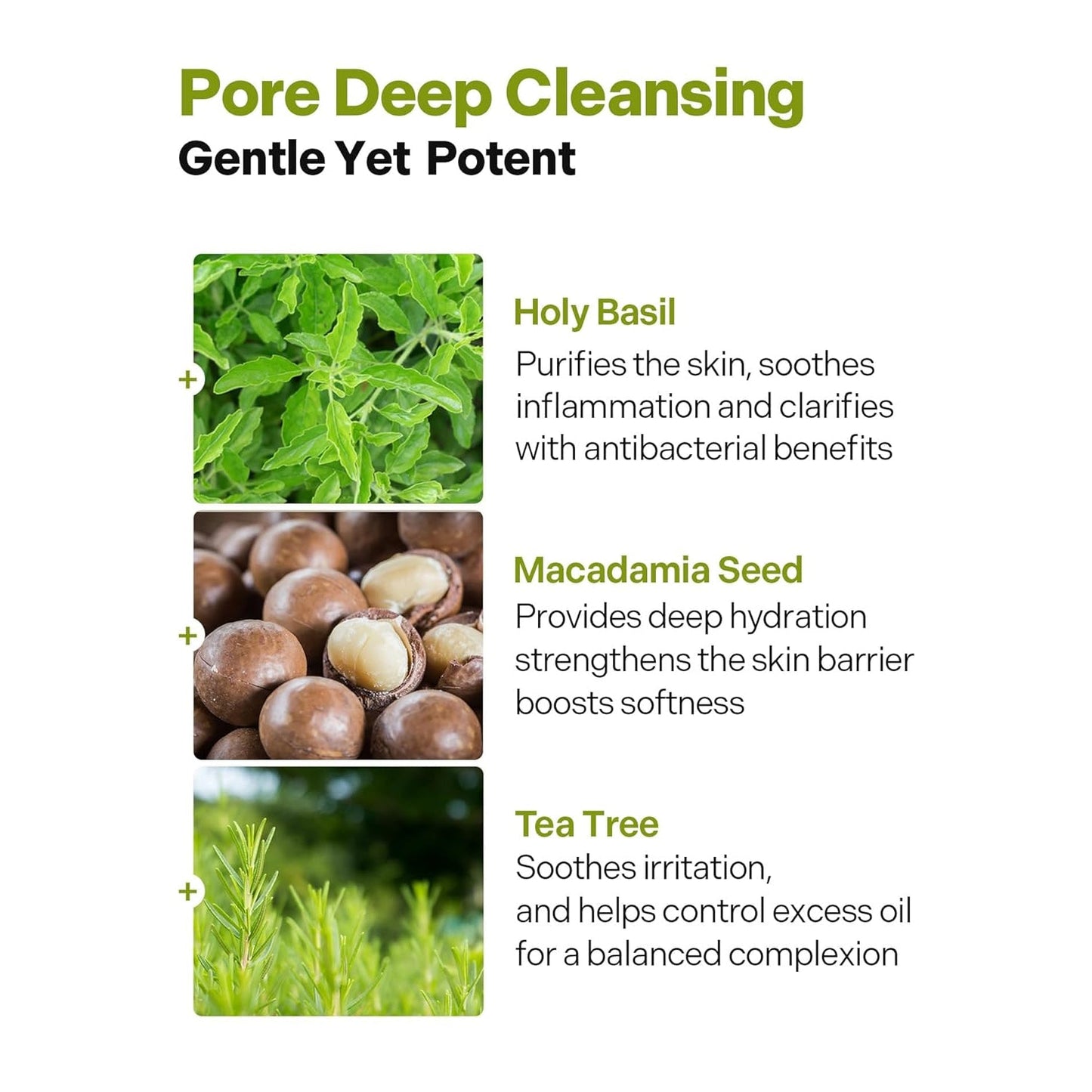 Underpore Holy Basil Cleansing Oil